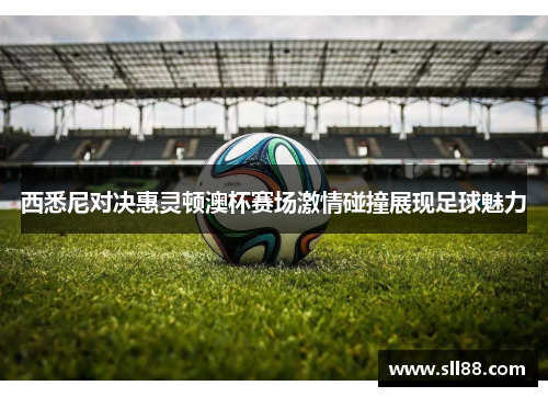 西悉尼对决惠灵顿澳杯赛场激情碰撞展现足球魅力